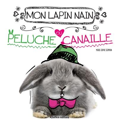 Mon lapin nain : peluche ou canaille