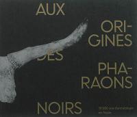 Aux origines des pharaons noirs : 10.000 ans d'archéologie en Nubie