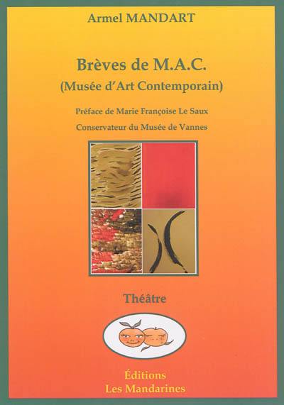 Brèves de M.A.C. (musée d'art contemporain)