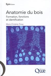 Anatomie du bois : formation, fonctions et identification