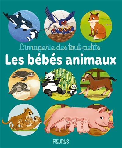 Les bébés animaux