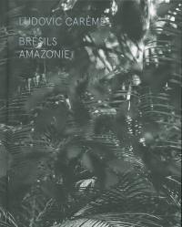 Brésils : Amazonie