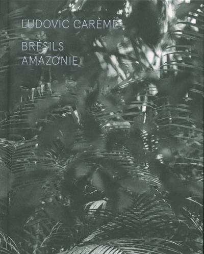 Brésils : Amazonie