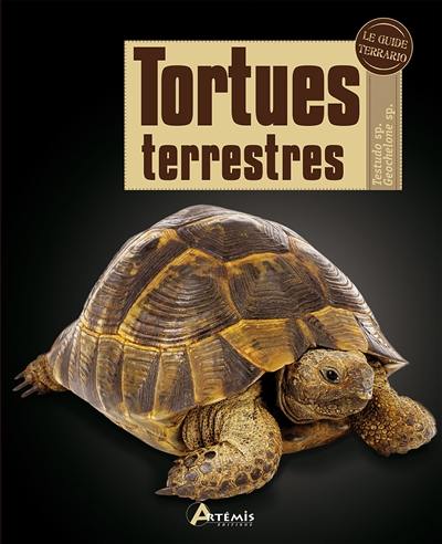 Tortues terrestres : testudo sp, geochelone sp