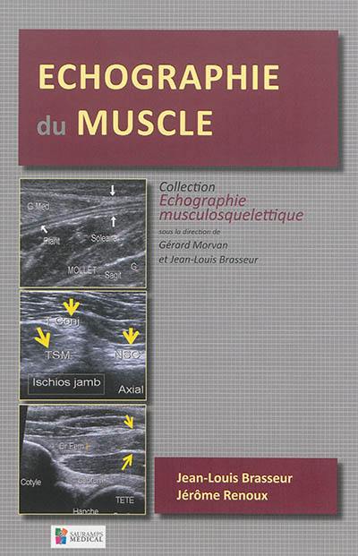 Echographie du muscle