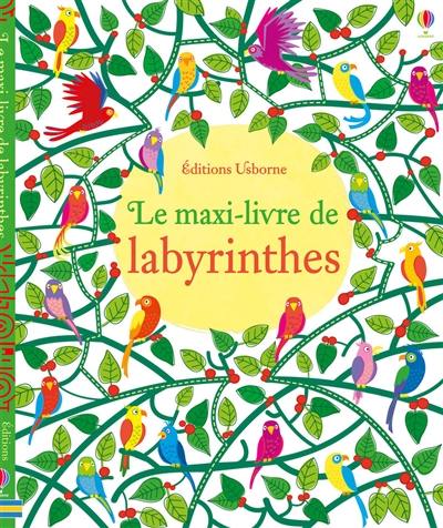 Le maxi-livre de labyrinthes