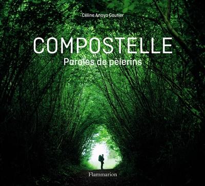 Compostelle : paroles de pèlerins