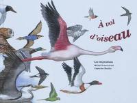 A vol d'oiseau : les migrations