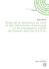 Etude de la résistance au choc et des mécanismes d'amorçage et de propagation rapide de fissures dans les PEHD