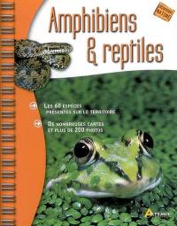 Amphibiens et reptiles