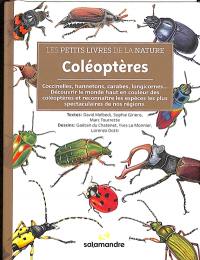 Coléoptères : coccinelles, hannetons, carabes, longicornes... : découvrir le monde haut en couleur des coléoptères et reconnaître les espèces les plus spectaculaires de nos régions