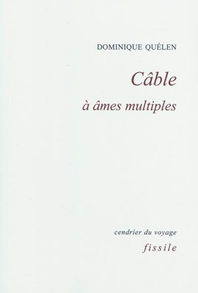 Câble à âmes multiples