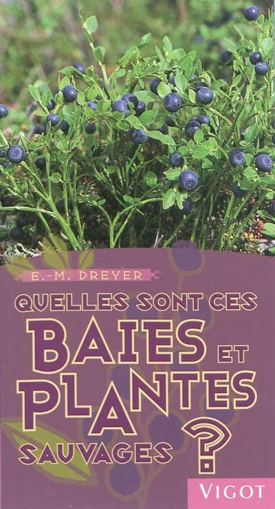 Quelles sont ces baies et plantes sauvages ?