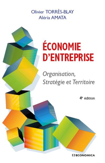 Economie d'entreprise : organisation, stratégie et territoire