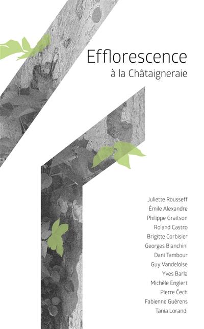 Efflorescence à la Châtaigneraie : Juliette Rousseff, Emile Alexandre, Philippe Graitson, Roland Castro, Brigitte Corbisier, Georges Bianchini, Dani Tambour, Guy Vandeloise, Yves Barla, Michèle Englert, Pierre Cech, Fabienne Guérens, Tania Lorandi