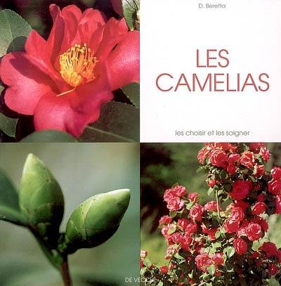 Les camélias : les choisir et les soigner