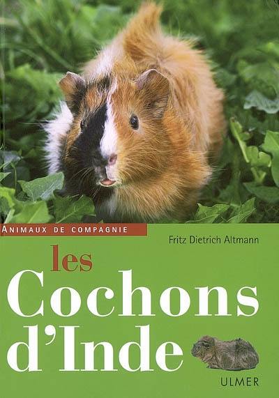 Les cochons d'Inde