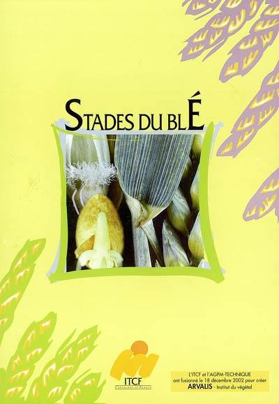 Stades du blé