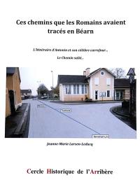 Ces chemins que les Romains avaient tracés en Béarn : l'itinéraire d'Antonin et son célèbre carrefour... : le chemin salié...