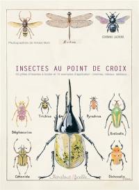 Insectes au point de croix