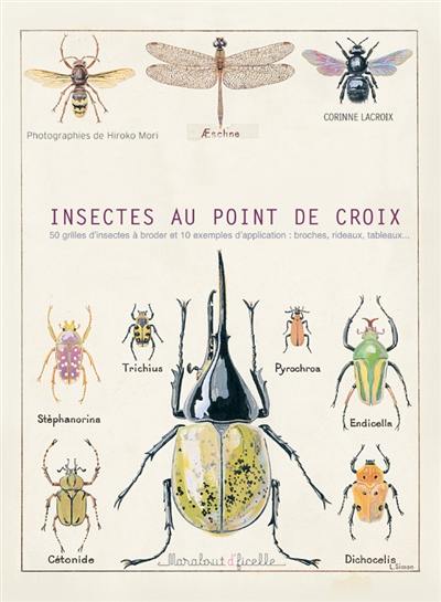 Insectes au point de croix