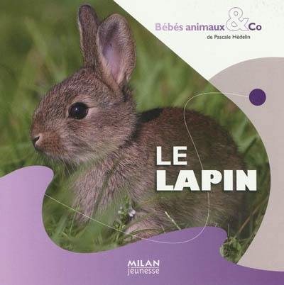 Le lapin