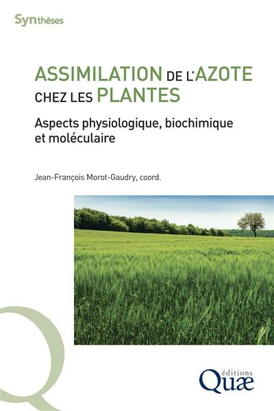 Assimilation de l'azote chez les plantes : aspects physiologique, biochimique et moléculaire