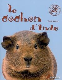 Le cochon d'Inde