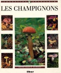 Les champignons