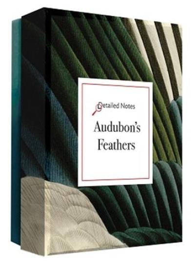 Audubon´s Feathers : A Detailed Notes notecard set