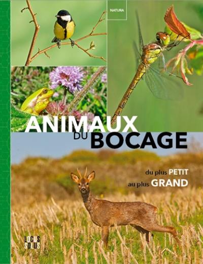 Animaux du bocage : du plus petit au plus grand