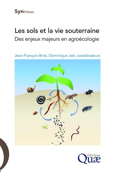 Les sols et la vie souterraine : des enjeux majeurs en agroécologie