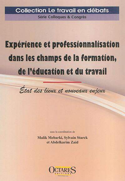 Expérience et professionnalisation dans les champs de la formation, de l'éducation et du travail : état des lieux et nouveaux enjeux