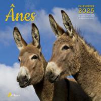 Anes : calendrier 2025 : de septembre 2024 à décembre 2025