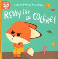 Rémy est en colère !. Rémy est gentil !