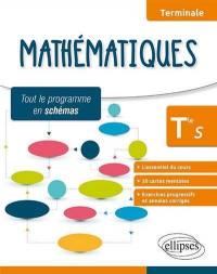 Mathématiques terminale S : l'essentiel du cours, 20 cartes mentales, exercices progressifs et annales corrigés