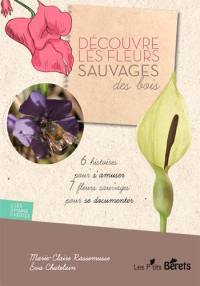 Découvre les fleurs sauvages des bois