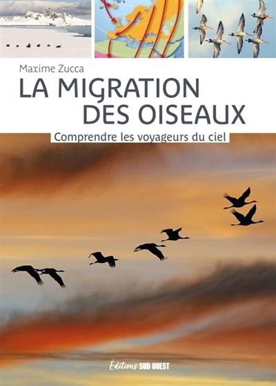 La migration des oiseaux : comprendre les voyageurs du ciel