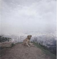 Alec Soth Dog Days Bogota