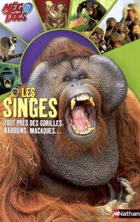 Les singes : tout près des gorilles, babouins, macaques