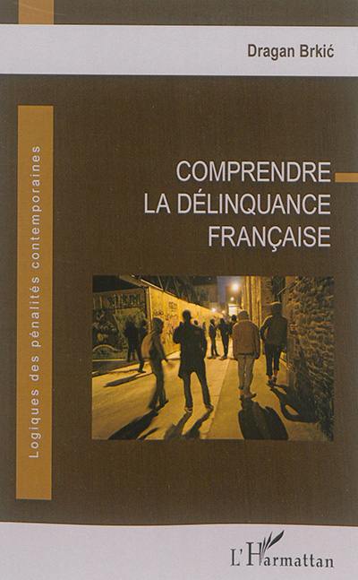 Comprendre la délinquance française