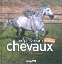 Les plus beaux chevaux de nos régions