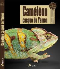 Caméléon casqué du Yémen : chamaeleo calyptratus