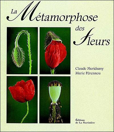 La métamorphose des fleurs