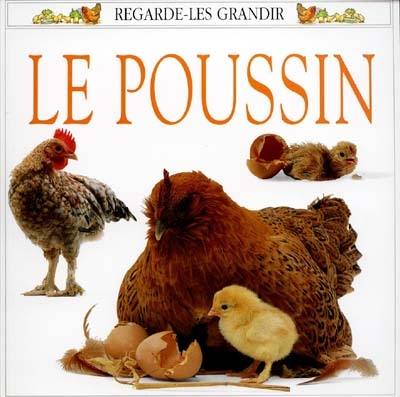 Le poussin