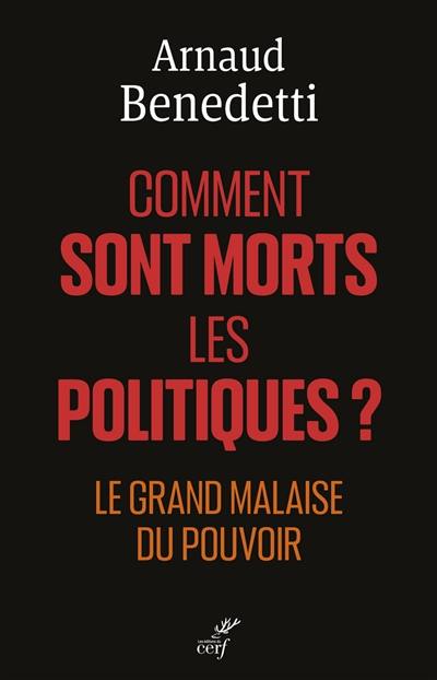 Comment sont morts les politiques ? : le grand malaise du pouvoir