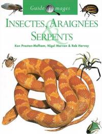 Insectes, araignées, serpents