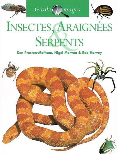 Insectes, araignées, serpents