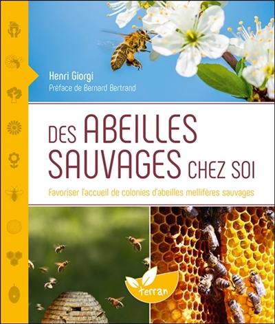 Des abeilles sauvages chez soi : favoriser l'accueil de colonies d'abeilles mellifères sauvages