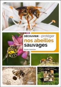 Découvrir & protéger nos abeilles sauvages